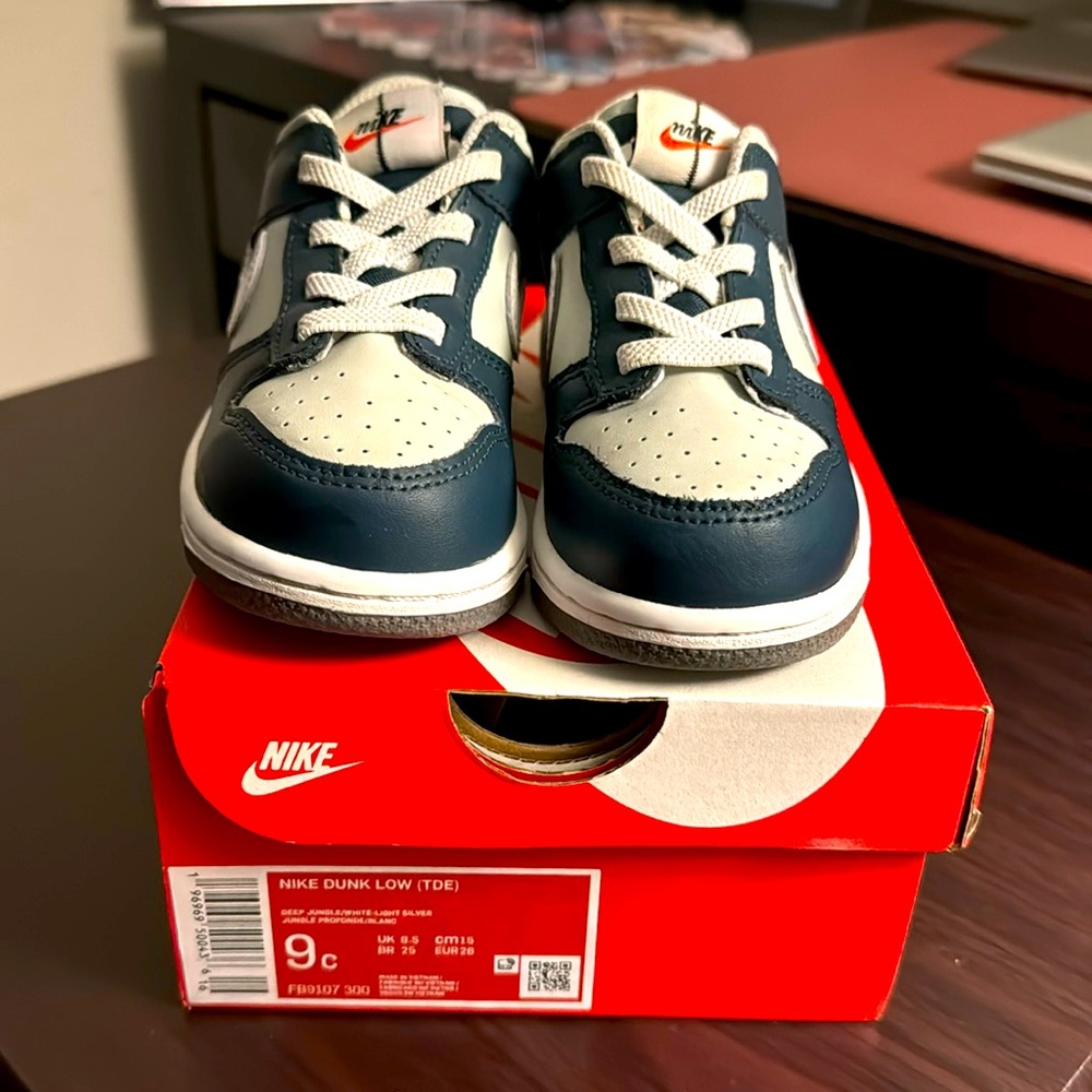 Toddler Nike Dunk Low size 9C